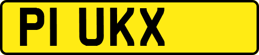 P1UKX