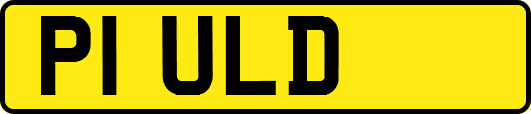 P1ULD