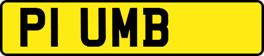 P1UMB