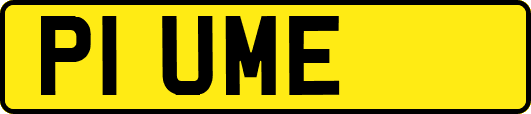 P1UME