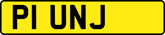 P1UNJ