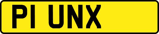 P1UNX