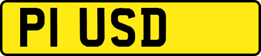 P1USD