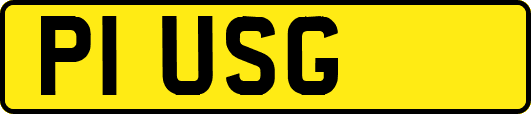 P1USG