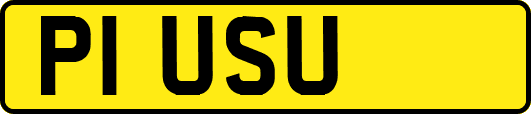 P1USU