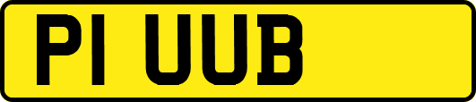 P1UUB
