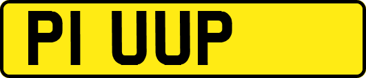 P1UUP