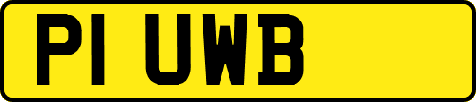 P1UWB