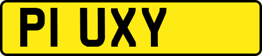 P1UXY