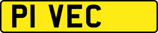 P1VEC