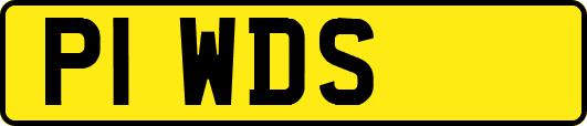 P1WDS