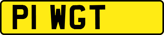 P1WGT