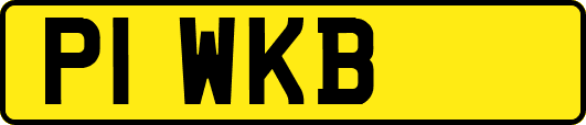 P1WKB