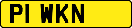 P1WKN