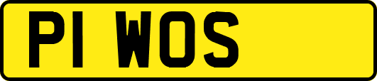 P1WOS