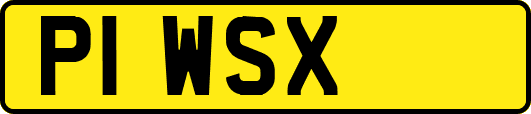 P1WSX