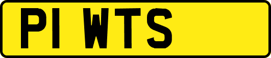 P1WTS