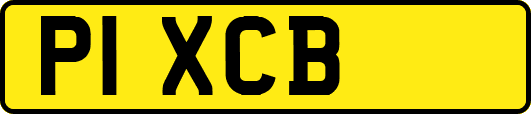 P1XCB