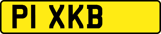 P1XKB