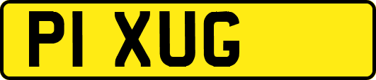 P1XUG