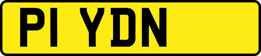 P1YDN