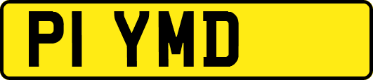 P1YMD