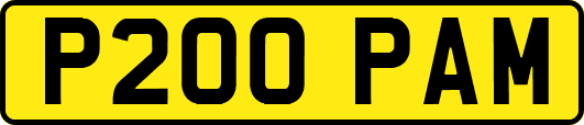 P200PAM