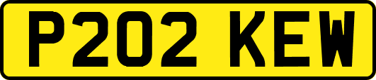 P202KEW