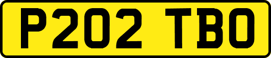P202TBO