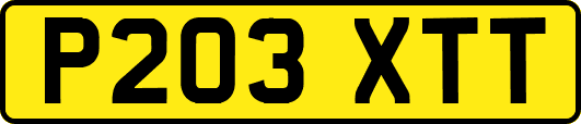 P203XTT