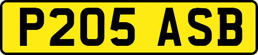 P205ASB