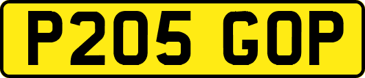 P205GOP