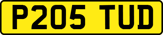 P205TUD