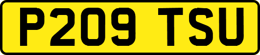 P209TSU
