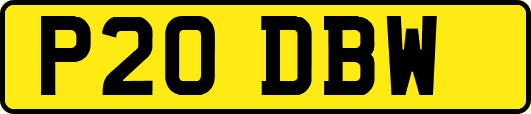 P20DBW