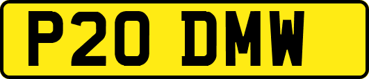 P20DMW