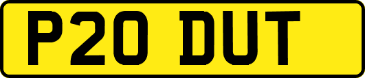P20DUT