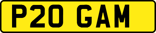 P20GAM