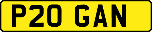P20GAN
