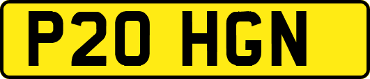P20HGN