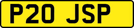 P20JSP