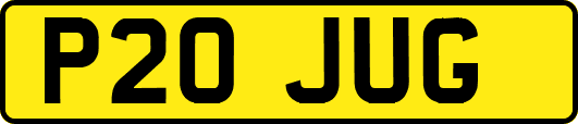 P20JUG