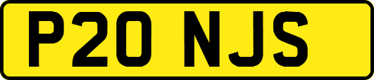 P20NJS