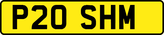 P20SHM