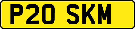 P20SKM