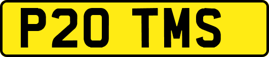 P20TMS