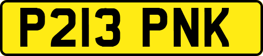 P213PNK