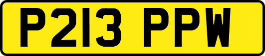 P213PPW