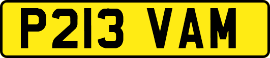 P213VAM