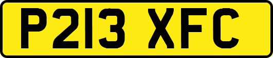 P213XFC